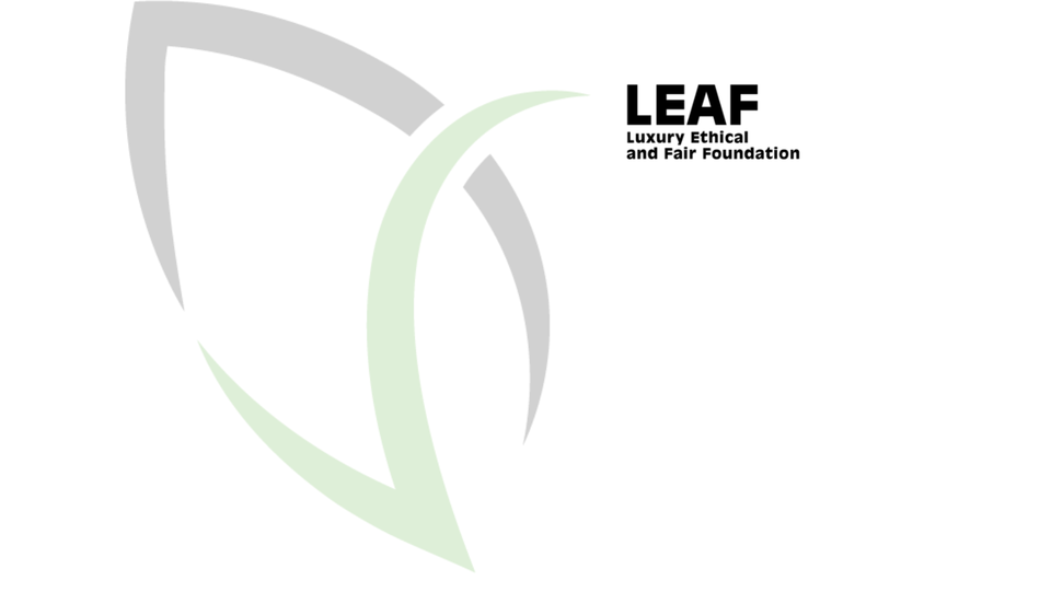 Featured image for “Fondazione Leaf”
